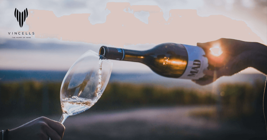 A Vincells Borékszer csapata bemutatja a varázslatos MAD Wine világát