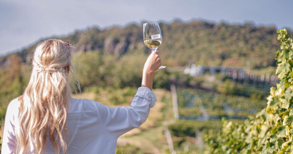 A Vincells bemutatja a Laposa Birtokot