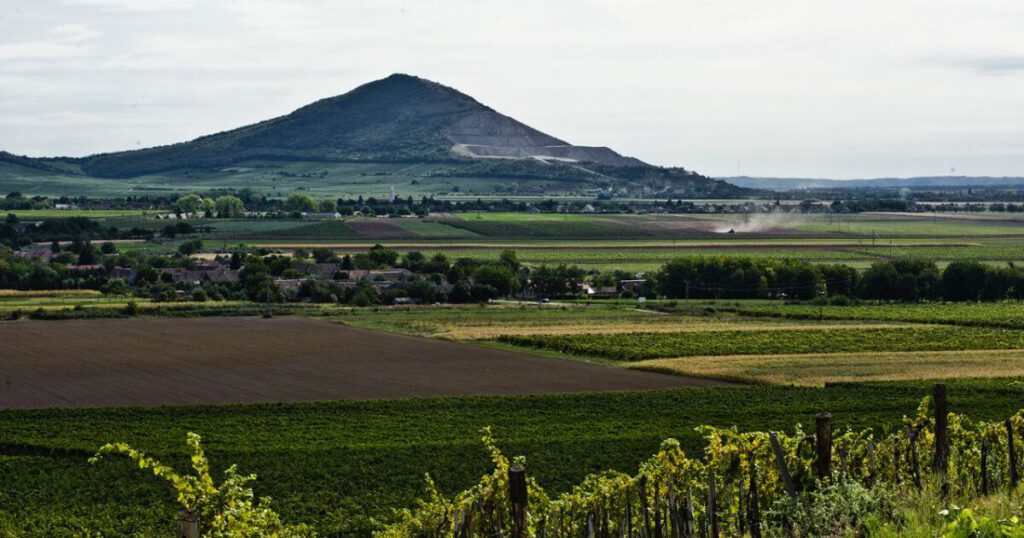 A Vincells Borékszer csapata bemutatja a Jammertal Borbirtokot Villányból