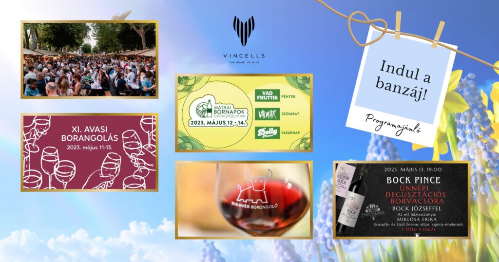 Indul a banzáj! – Hétvégi borfesztiválok