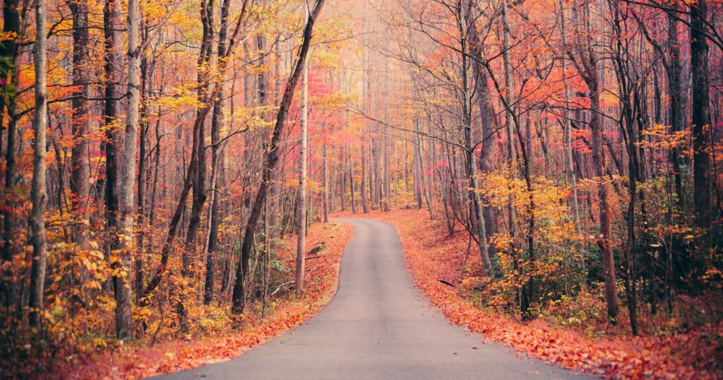 5 különleges őszi kirándulóhely hazánkban