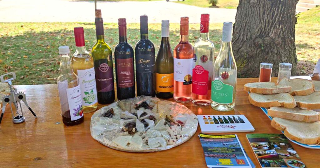 Sárkányhajós Fröccs-túra a tolnai holtágon