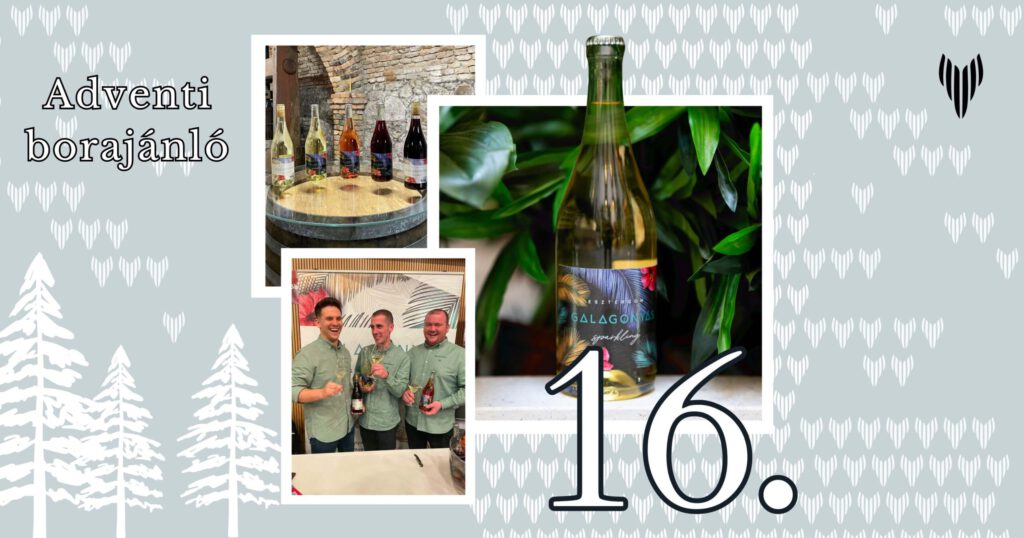 Vincells borajánló: Galagonyás Habzóműhely - Sparkling white extra brut