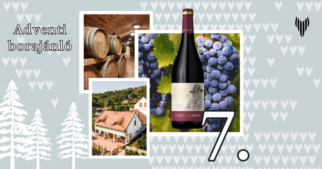 Vincells borajánló: Eszterbauer - „Báró Steiner” Bikavér 2020