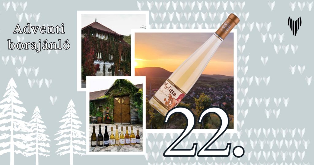 Vincells borajánló: Dobogó – Mylitta késői szüret