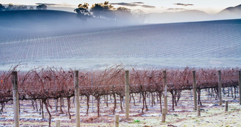 A legjobb januári események stílusos borimádóknak