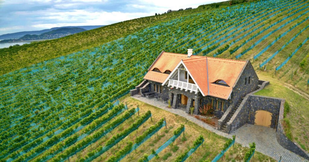 Villa Sandahl – díjnyertes badacsonyi borok