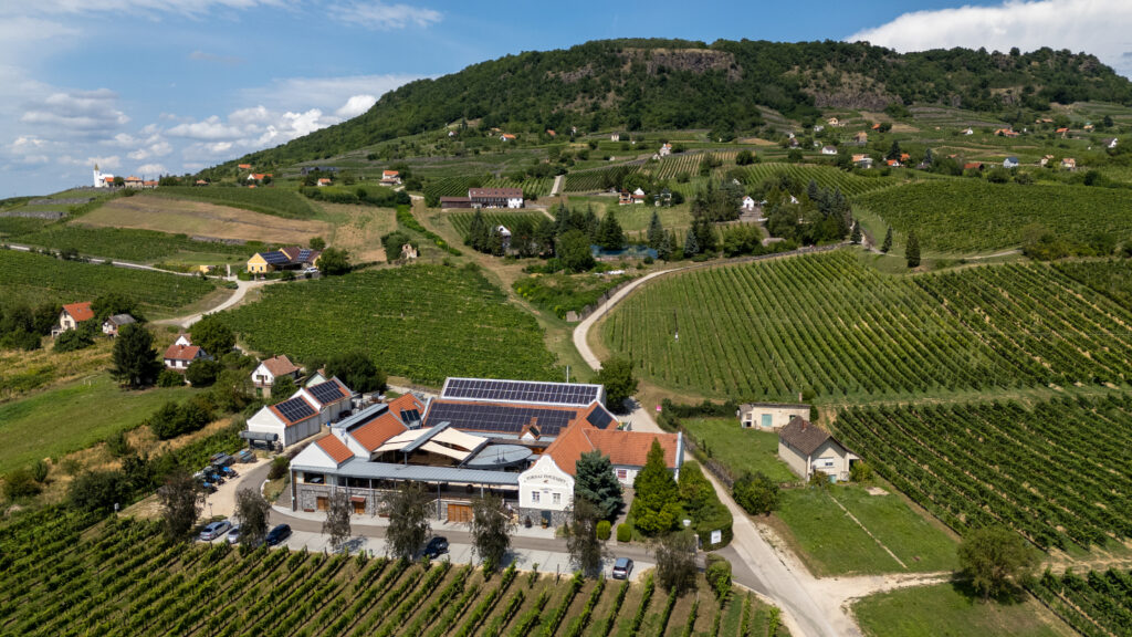 Tornai Pincészet látképe a Somló hegy oldalában